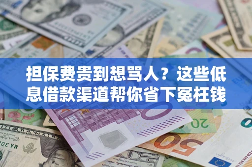 北京担保费贵到想骂人？这些低息借款渠道帮你省下冤枉钱
