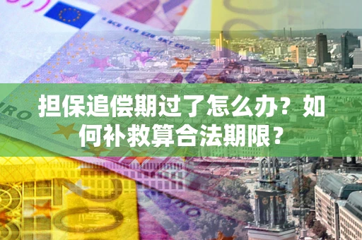 北京担保追偿期过了怎么办？如何补救算合法期限？