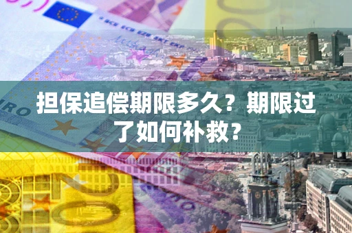 北京担保追偿期限多久？期限过了如何补救？