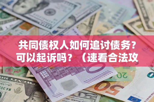 北京共同债权人如何追讨债务？可以起诉吗？（速看合法攻略）